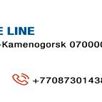 ТОО "Bisuness Trade Line"