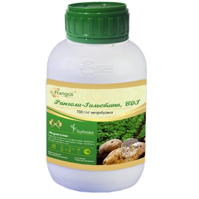 Ранголи-Гильотина, ВДГ