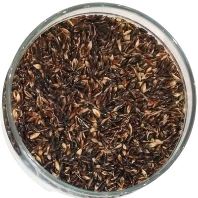 Суданская трава - Новосибирская 84, РС1