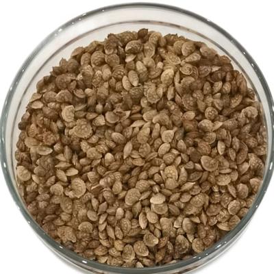 ЭСПАРЦЕТ (Р)