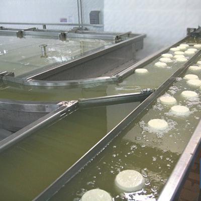 Система посолки сыра