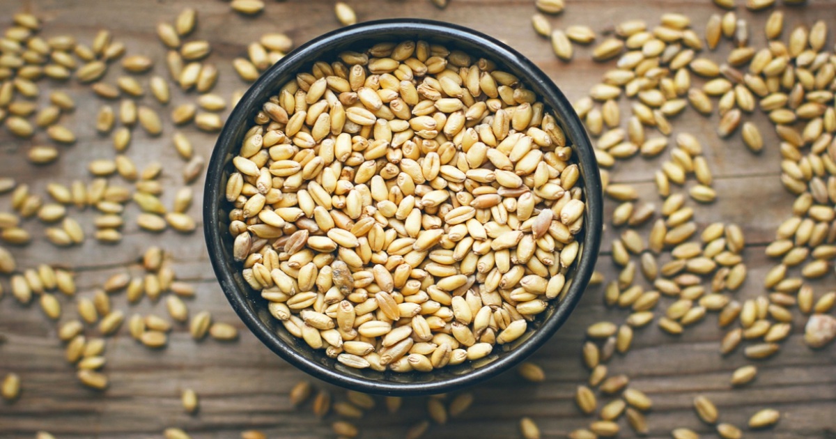 сельское хозяйство