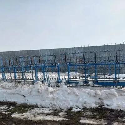 Борона СШГ пружинная (производства Южный Ветер)