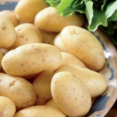 Картофель, капуста, свекла и морковь оптом в мешка