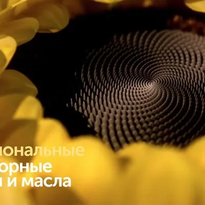 SolPro - промышленные жиры и маргарины для хлебобулочной промышленности