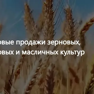 ООО Агропром - оптовая реализация продуктов питания экспорт