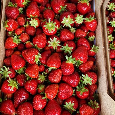 Клубника Фермерская, ...