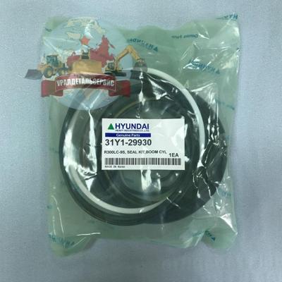 Р/к г/ц стрелы 31Y1-29930 на R300LC-9S