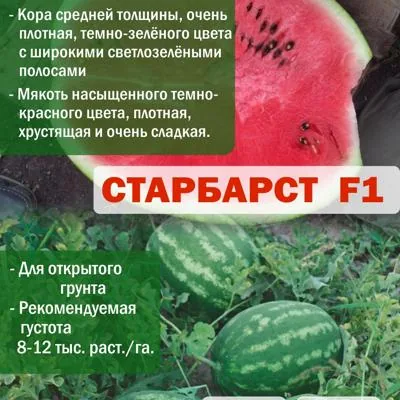 Семена арбуза Старбарст F1, 1000 шт.