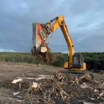  Расчистка территорий от деревьев и пней от 1 Га