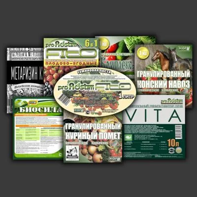 Графический дизайн