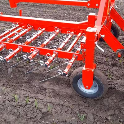 Штригельная борона для прополки чеснока