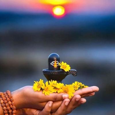 Массаж лингам "Мужское здоровье"