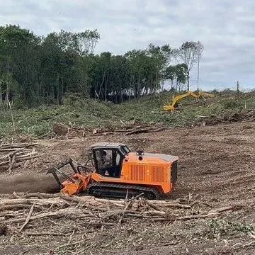  Расчистка территорий от деревьев и пней от 1 Га