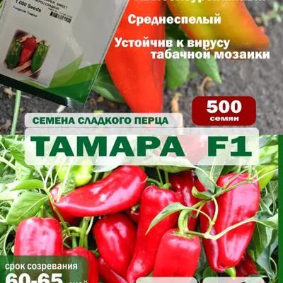 Семена перца сладкого Тамара F1, 500 шт