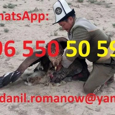 Гид, водитель, туры в Кыргызстане, туризм, путешествия, горы, трэки в Киргизии