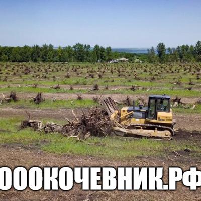 Вырубка, выкорчёвка, переработка в щепу деревьев и корней