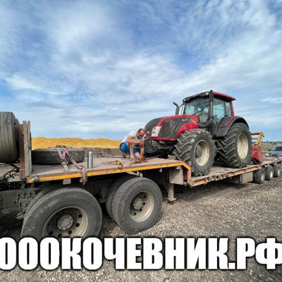 Вырубка, выкорчёвка, переработка в щепу деревьев и корней