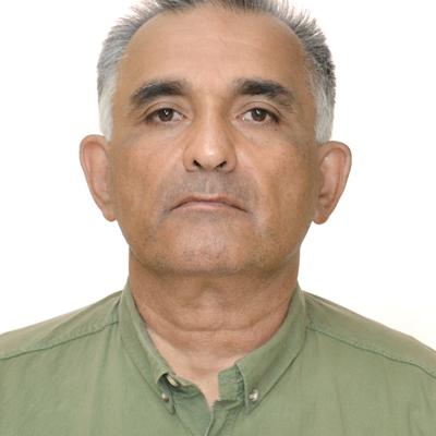 Английские = хинди = ...