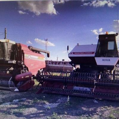 Готовый бизнес - Фермерское хозяйство