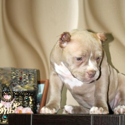 Мисюра Ольга Владимировна