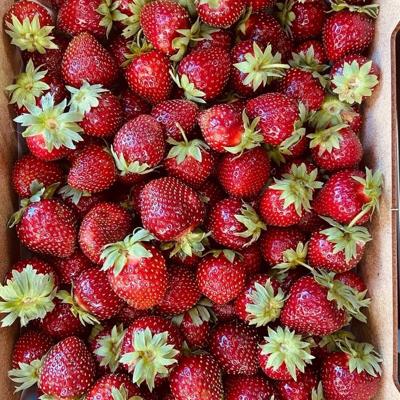 Клубника Фермерская, ...