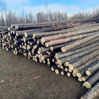 жерди, подтоварник, рудничная стойка, доски обрезные