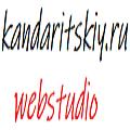 Создаю, продвигаю сайты на Вордпресс+Елементор про, 15 лет опыта
