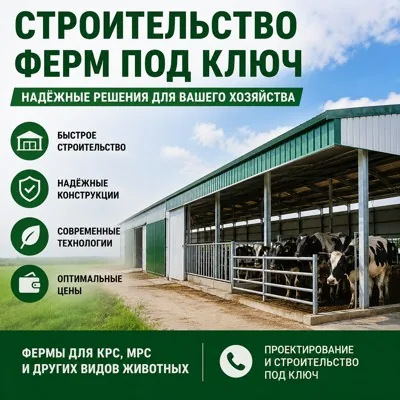 Строительство фермы на 50 голов КРС под ключ