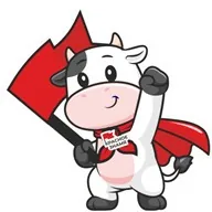 Нетели племенные голш...