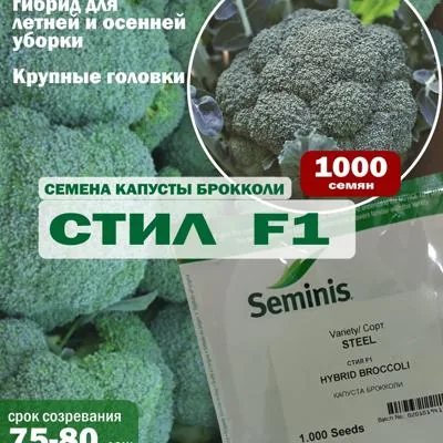 Семена капусты брокколи Стил F1, 1000 шт