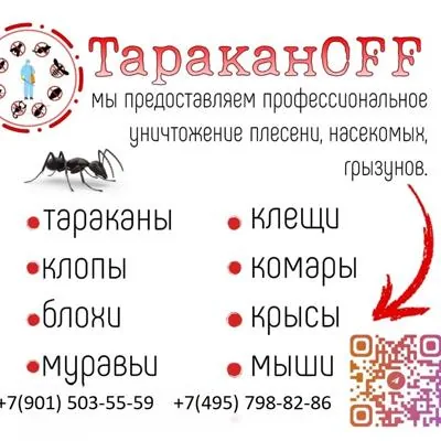 Дезинфекция и дезинсекция