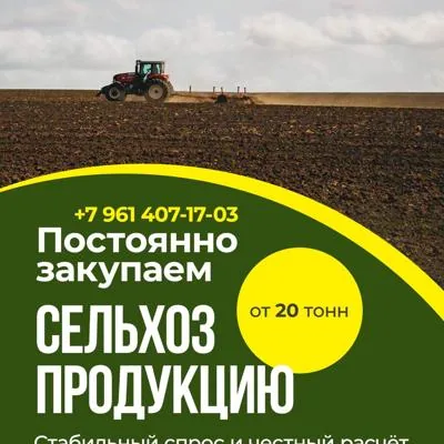 Закупаем сельхозпродукцию: зерно, пшеницу, подсолнечник