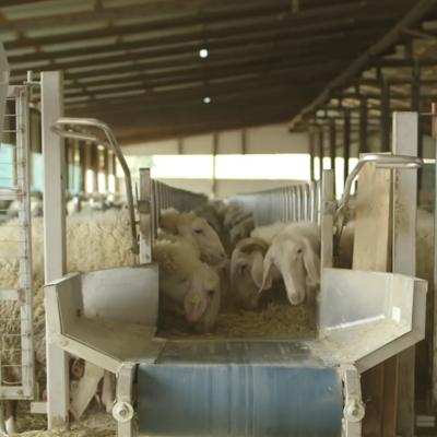 Кормовая лента для коз овец Sylco Hellas (Греция)