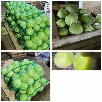 Экспорт сельскохозяйственной продукции из Республики Беларусь