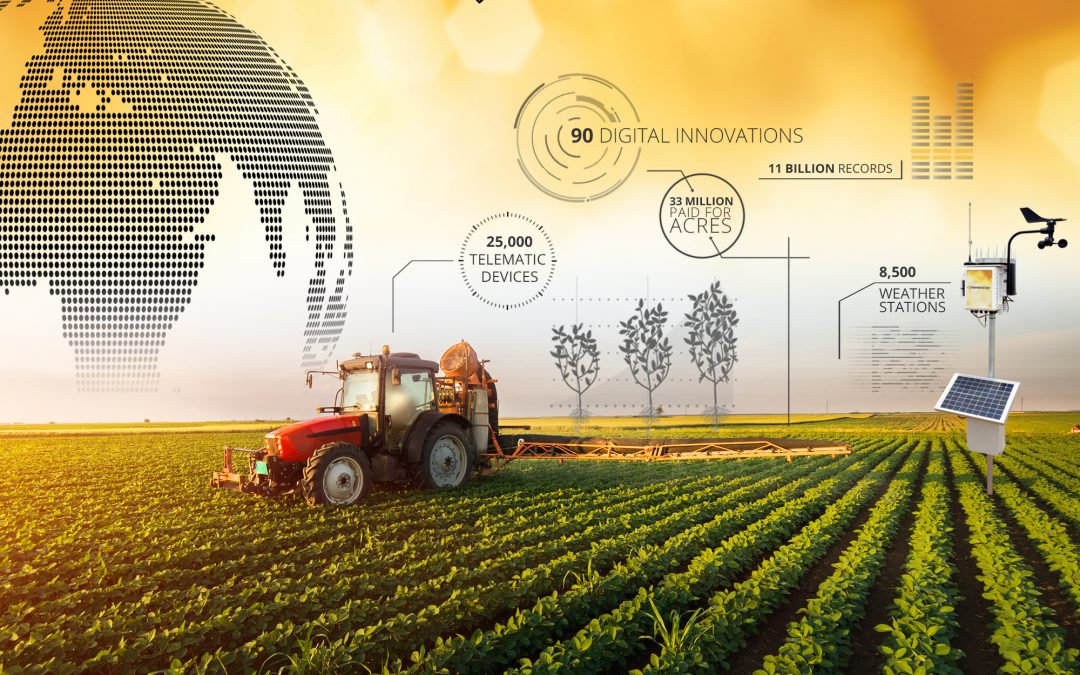 сельское хозяйство