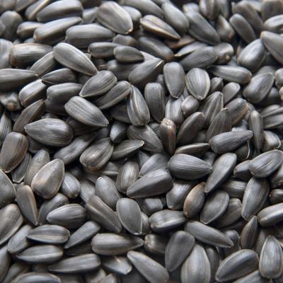 Подсолнечник