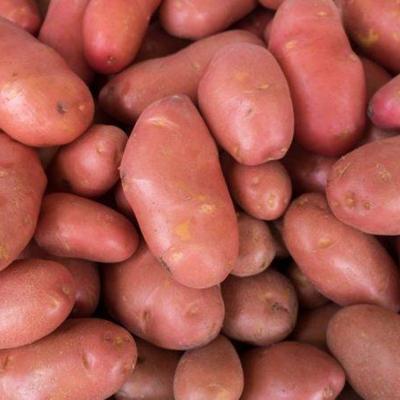 Картофель продовольственный 10+ (80%)