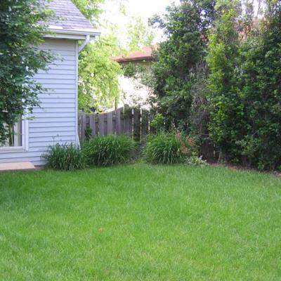 Смесь семян газон Универсальный