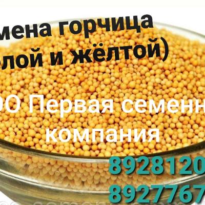 Семена горчицы  Виктория, Жемчужина, Пантера