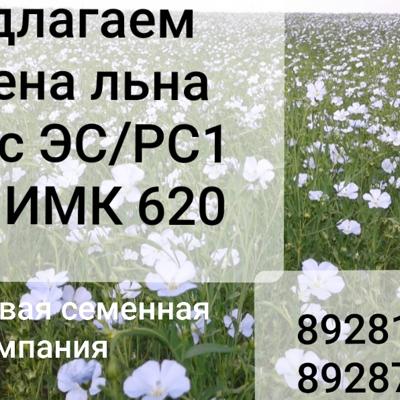 Семена льна масличного сорт  ВНИИМК 620,  Микс, Фаворит.