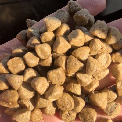 Производим корма для кошек и собак 