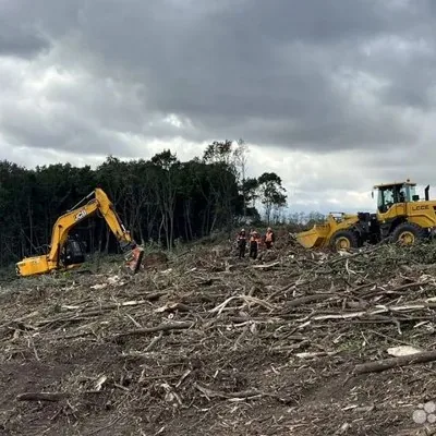 Расчистка территорий от деревьев и пней от 1 Га