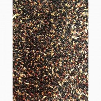 Семена однолетних и многолетних трав