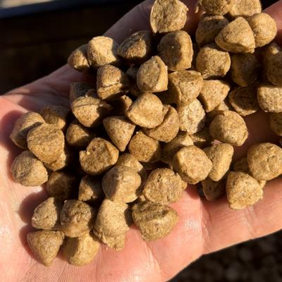 Производим корма для кошек и собак 