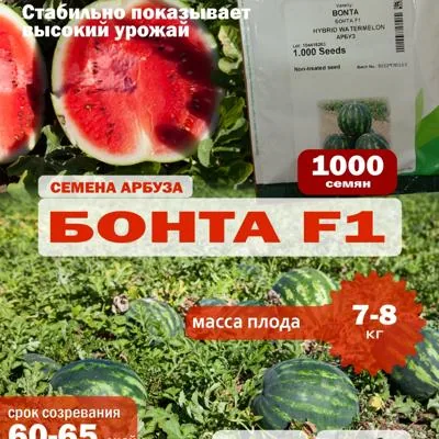 Семена арбуза Бонта F1, 1000 шт