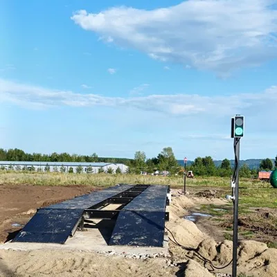 Автовесы ПЕГАС 18-60-...