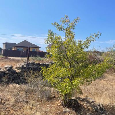 Участок в Севастополе