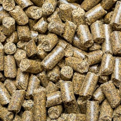 Шрот и жмых подсолнечный, соевый, рапсовый оптом